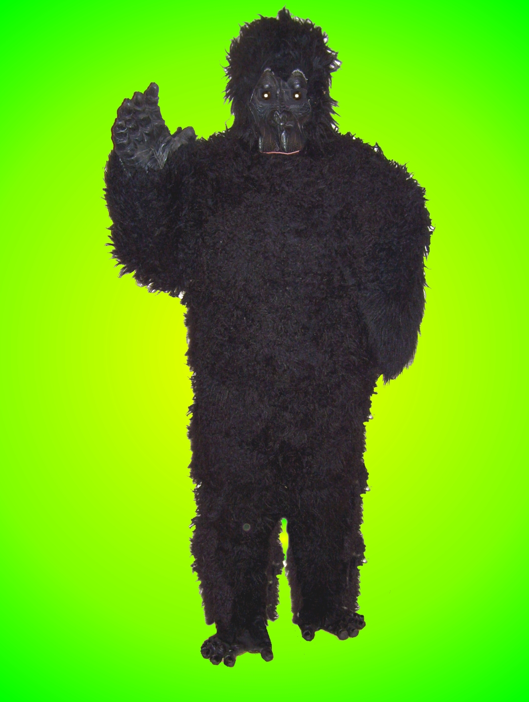 fancy dress hire, costume hire, fancy dress accessories